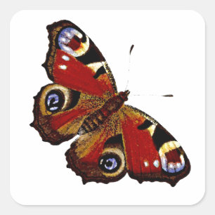 Colorful Butterfly Square Sticker