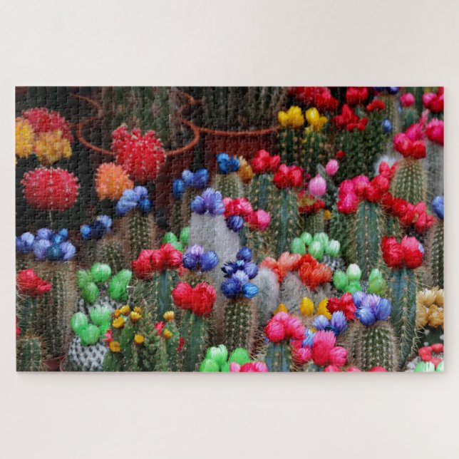 Colorful cacti jigsaw puzzle (Horizontal)