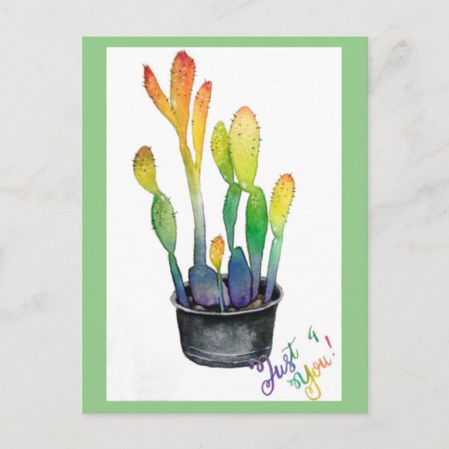 Colorful Cacti Postcard (Front)
