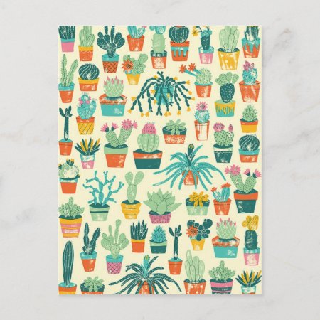 Colorful Cactus Flower Pattern Postcard