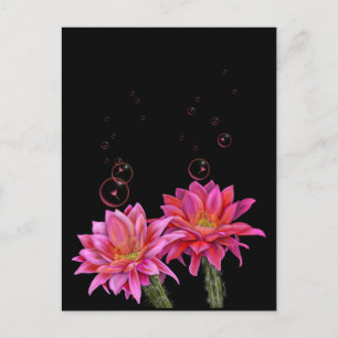 Colorful Cactus Flowers with Bubbles Poster Postcard