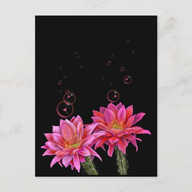 Colorful Cactus Flowers with Bubbles Poster Postcard (Front)