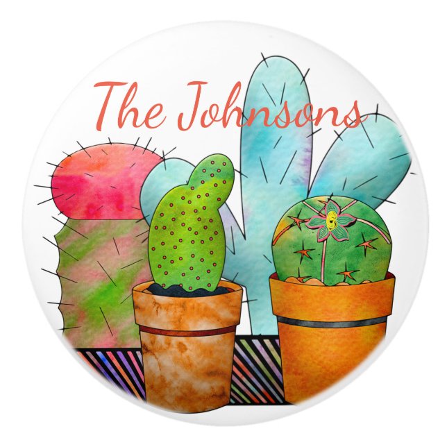 Colorful Cactus Garden Ceramic Knob (Front)