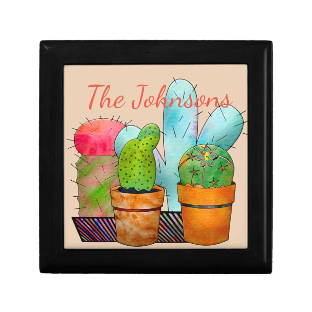Colorful Cactus Garden Gift Box (Front)