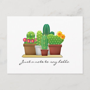 Colorful Cactus Garden / Hello Postcard