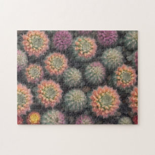 Colorful Cactus Jigsaw Puzzle