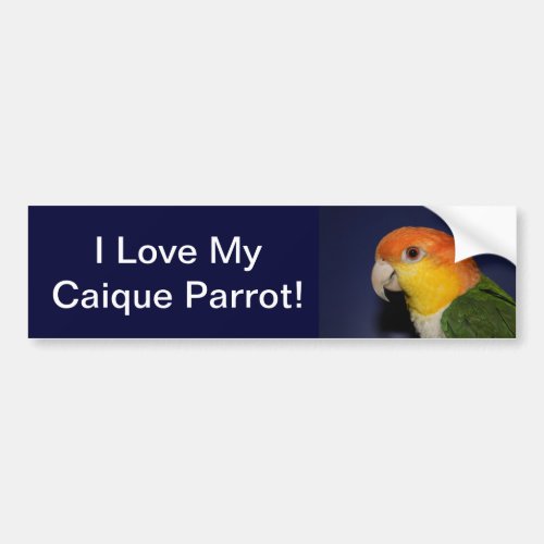 Colorful Caique Parrot Bumper Sticker