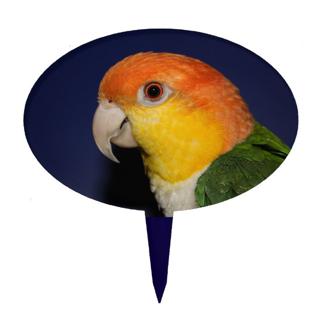 Colorful Caique Parrot Cake Topper (Front)