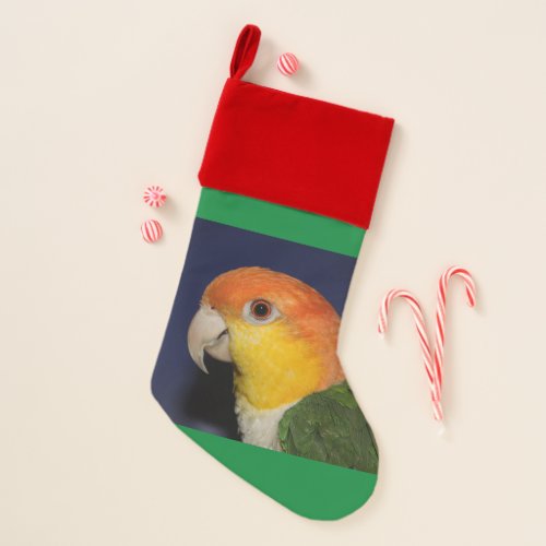Colorful Caique Parrot Christmas Stocking