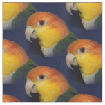 Colorful Caique Parrot Fabric