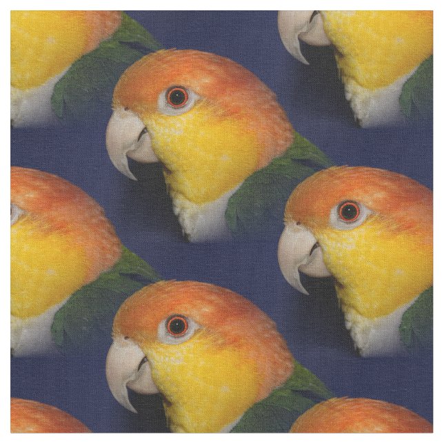 Colorful Caique Parrot Fabric (Close Up)