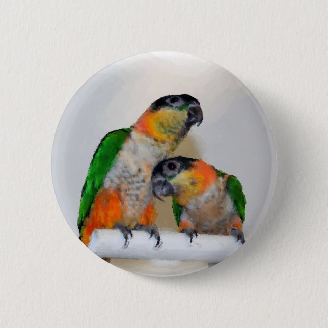 Colorful Caique Parrot Pair Button (Front)