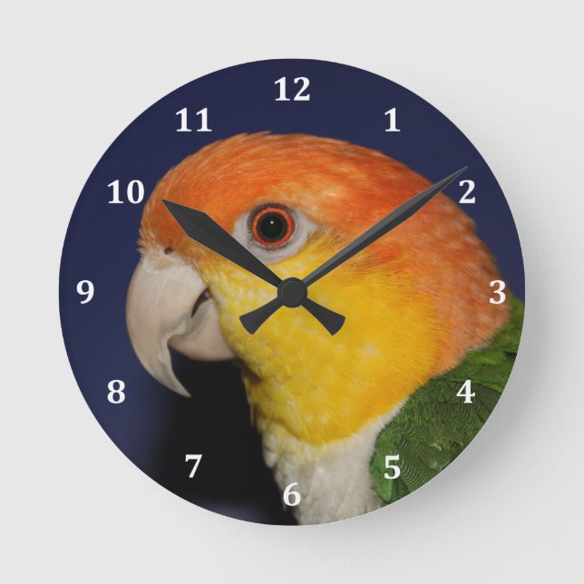 Colorful Caique Parrot Round Clock (Front)