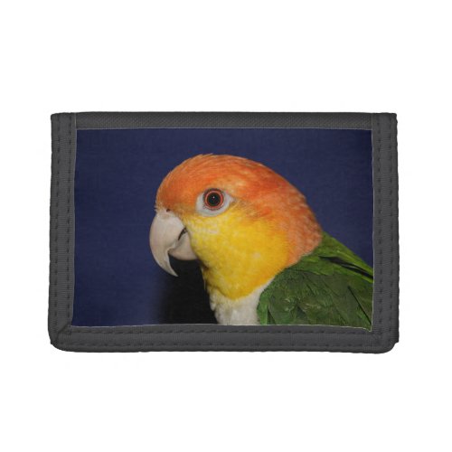 Colorful Caique Parrot Trifold Wallet