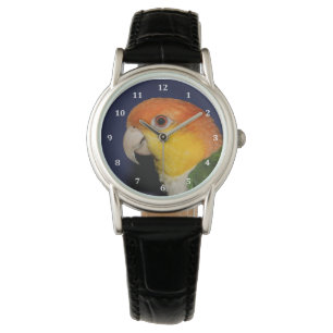 Colorful Caique Parrot Watch