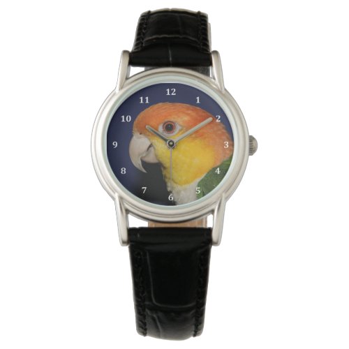 Colorful Caique Parrot Watch