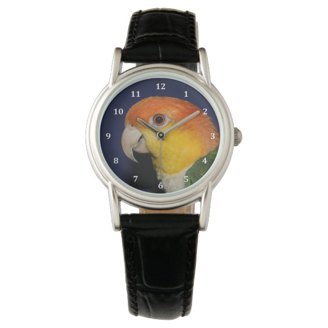 Colorful Caique Parrot Watch (Front)