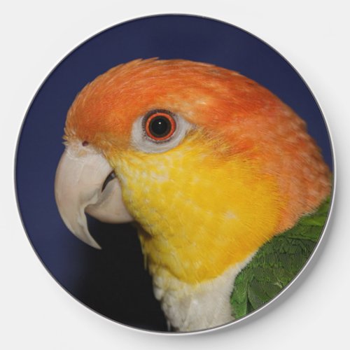 Colorful Caique Parrot Wireless Charger