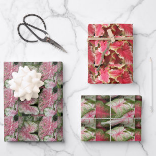 Colorful Caladium Leaves Floral Pattern Wrapping Paper Sheets