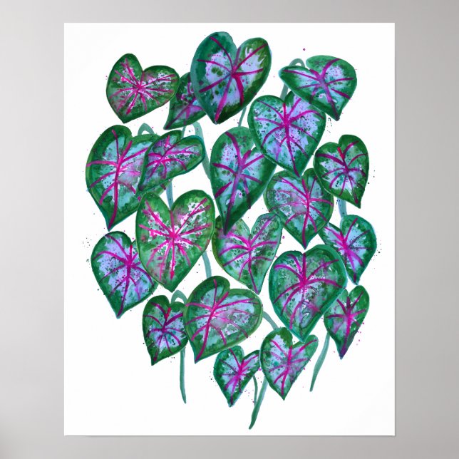 Colorful Caladiums Watercolor Art Pink Green Poster (Front)