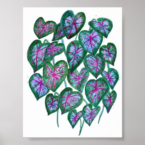 Colorful Caladiums Watercolor Art Pink Green Poster