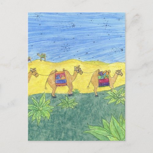 Colorful Camels Postcard