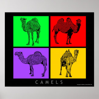 Camel Posters | Zazzle