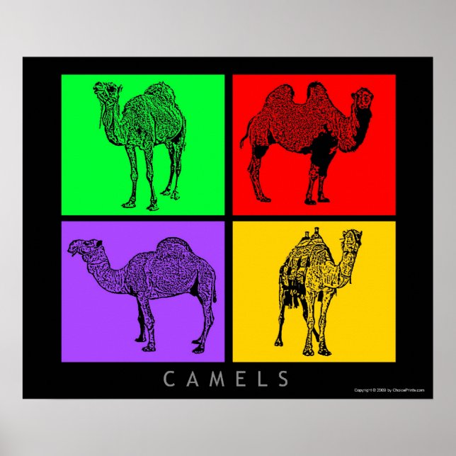 Colorful Camels Poster (Front)