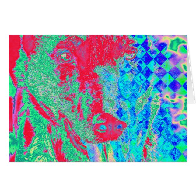 Colorful Canine Cards (Front Horizontal)