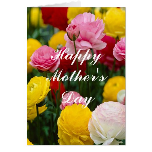 Colorful Carnation Flowers Greeting Card (Front)