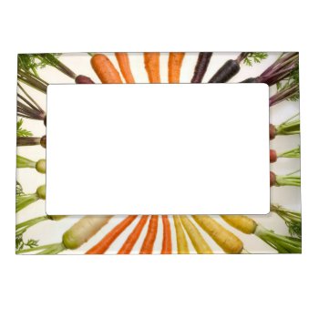 Colorful Carrots Magnetic Frame by PawsitiveDesigns at Zazzle