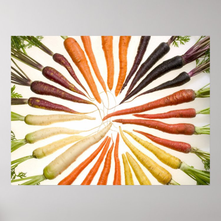 Colorful Carrots Poster
