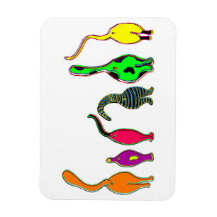 Colorful Cat Butts Magnet