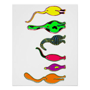 Colorful Cat Butts Poster