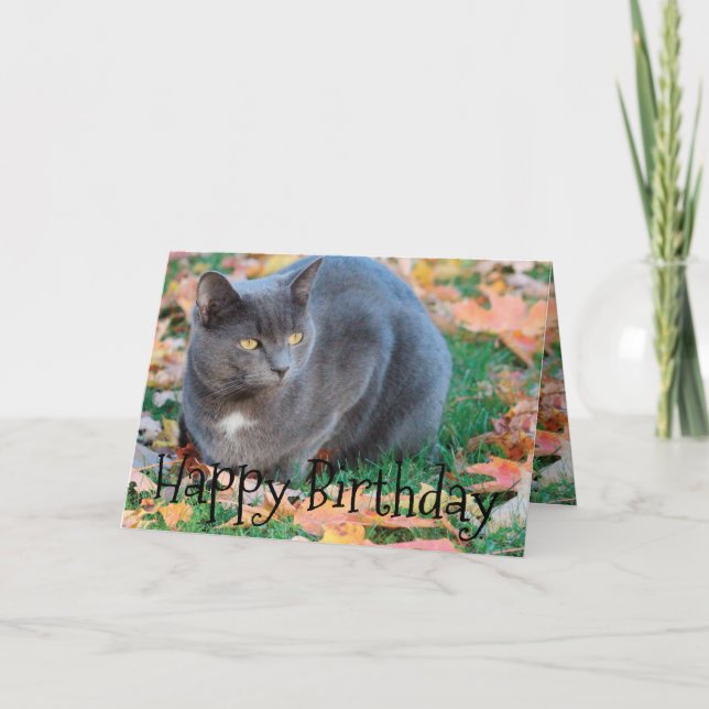 Colorful Cat Card (Front)