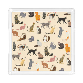 Colorful Cats: Different Breeds Pattern Acrylic Tray