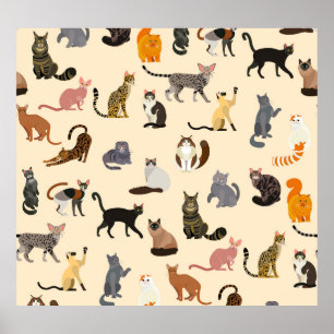 Colorful Cats: Different Breeds Pattern Poster