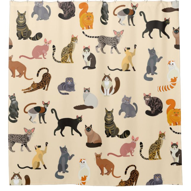 Colorful Cats: Different Breeds Pattern Shower Curtain (Front)