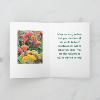 COLORFUL CELOSIA  GARDEN/ GET WELL/CUSTOMIZABLE TE
