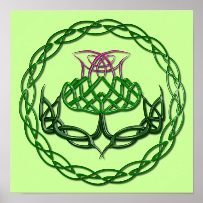 Colorful Celtic Knot Thistle Poster