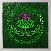 Colorful Celtic Knot Thistle