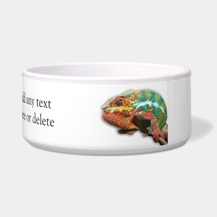 Colorful Chameleon Dog Food Bowl