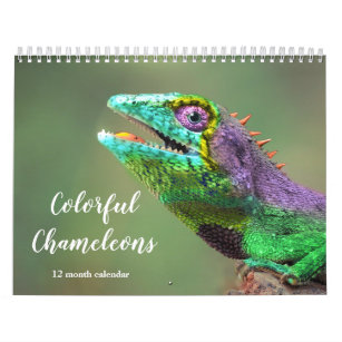 Colorful Chameleons 2024 Calendar