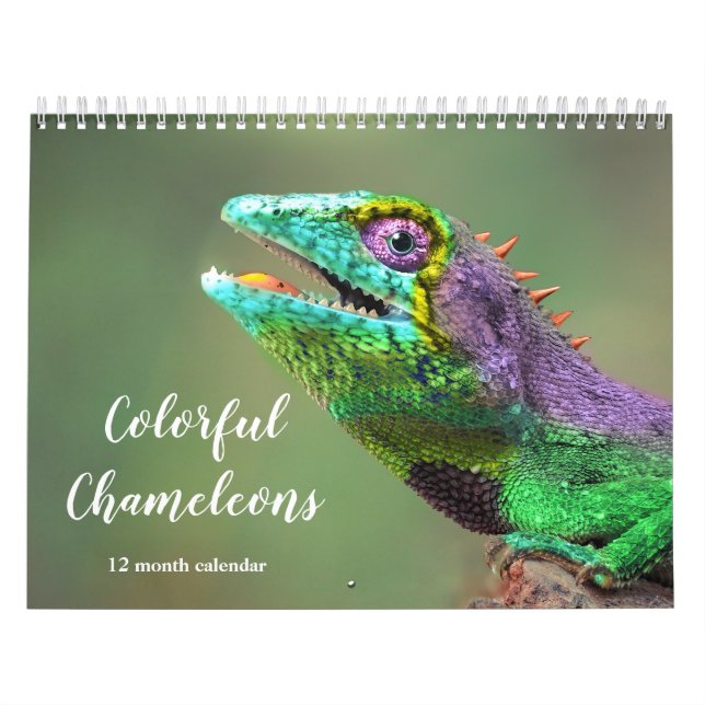 Colorful Chameleons 2026 Calendar (Cover)