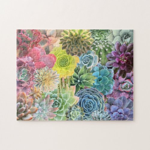 Colorful Cheerful Rainbow Succulent Puzzle