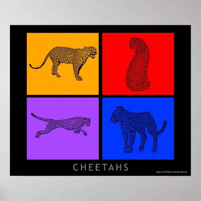 Colorful Cheetah Poster (Front)