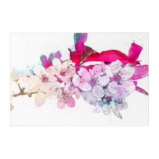 Colorful Cherry Blossoms  Acrylic Print