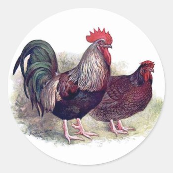 Colorful Chicken Stickers by Vintage_Obsession at Zazzle