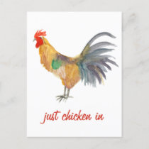 Colorful Chicken Watercolor Funny   Postcard