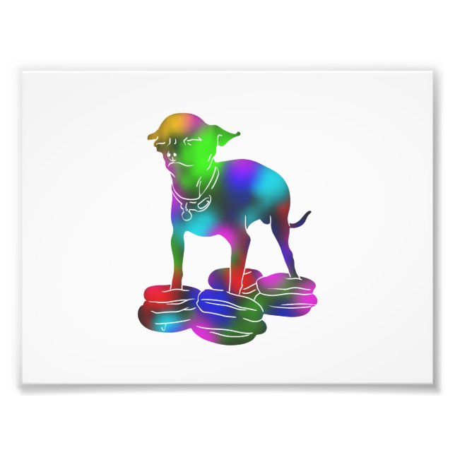 Colorful Chihuahua hamburger flying Photo Print (Front)